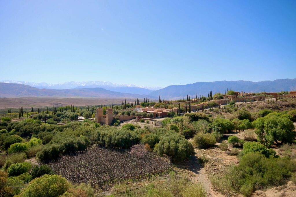 Best Agafay day trip from Marrakech - The snow-capped Atlas Mountains back a village near Agafay