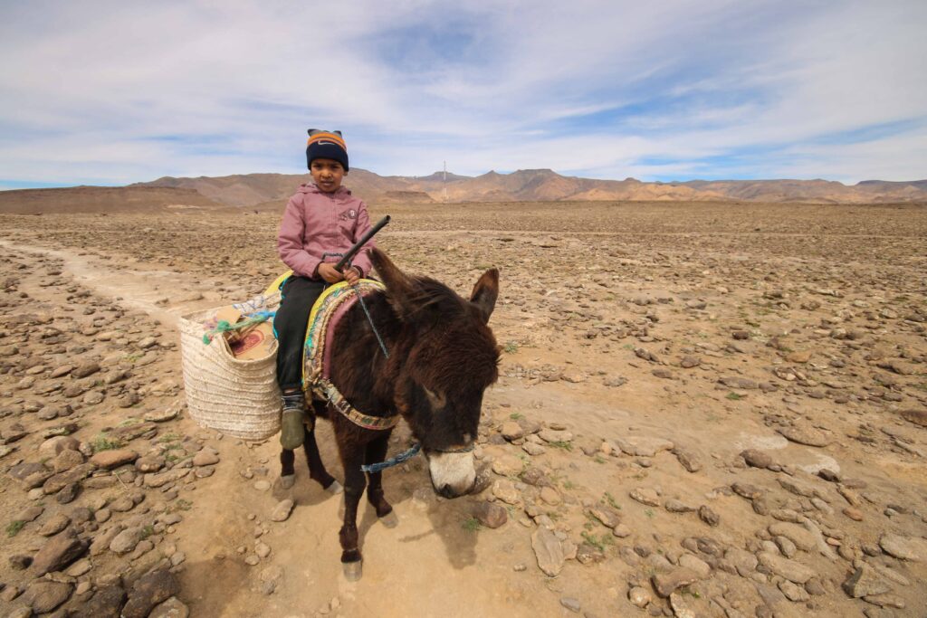 A young Amazigh boy on a donkey in the Atlas Mountains of Morocco