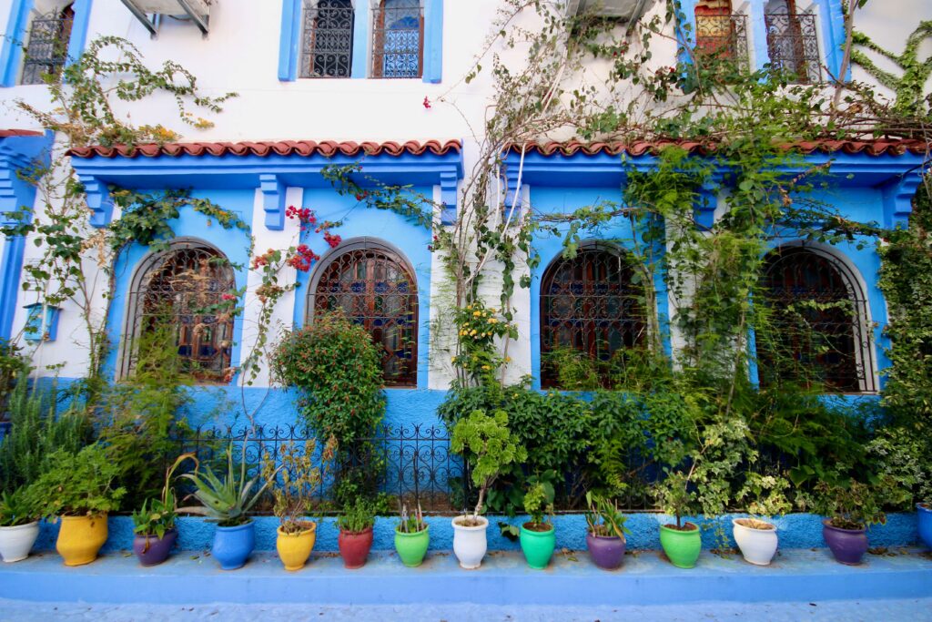 Colourful pot plants outside a blue and white building in Chefchaouen
