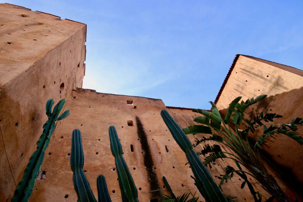 Guide to hiking in the Rif Mountains, Morocco A cactus garden in front of the ochre-hued walls of Chefchaouen's Kasbah