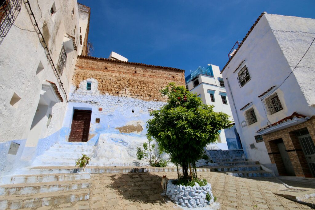 Chefchaouen travel guide - A sun-drenched square with an orange tree in Chefchaouen
