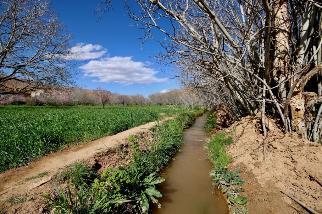 An irrigation channel flows through Dades Gorge, which can be visited from the Valley of Roses