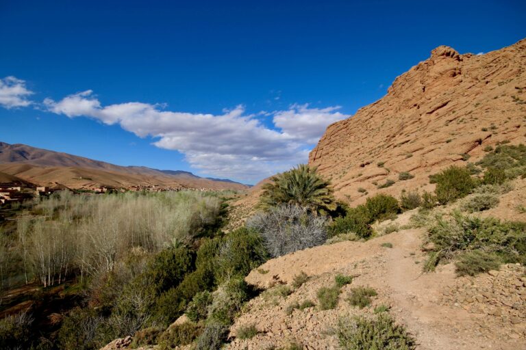 Essential Travel Guide to Todra Gorge + Dades Gorge + Skoura