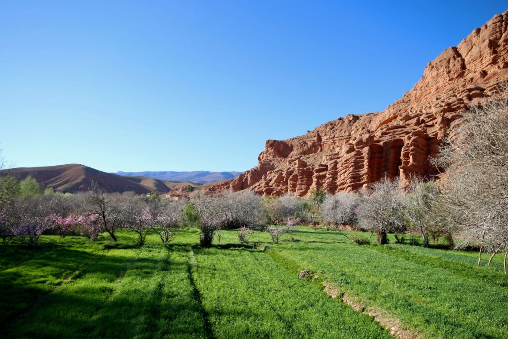 Is Dades Gorge worth visiting? Agricultural fields along the river bank of Dades Gorge