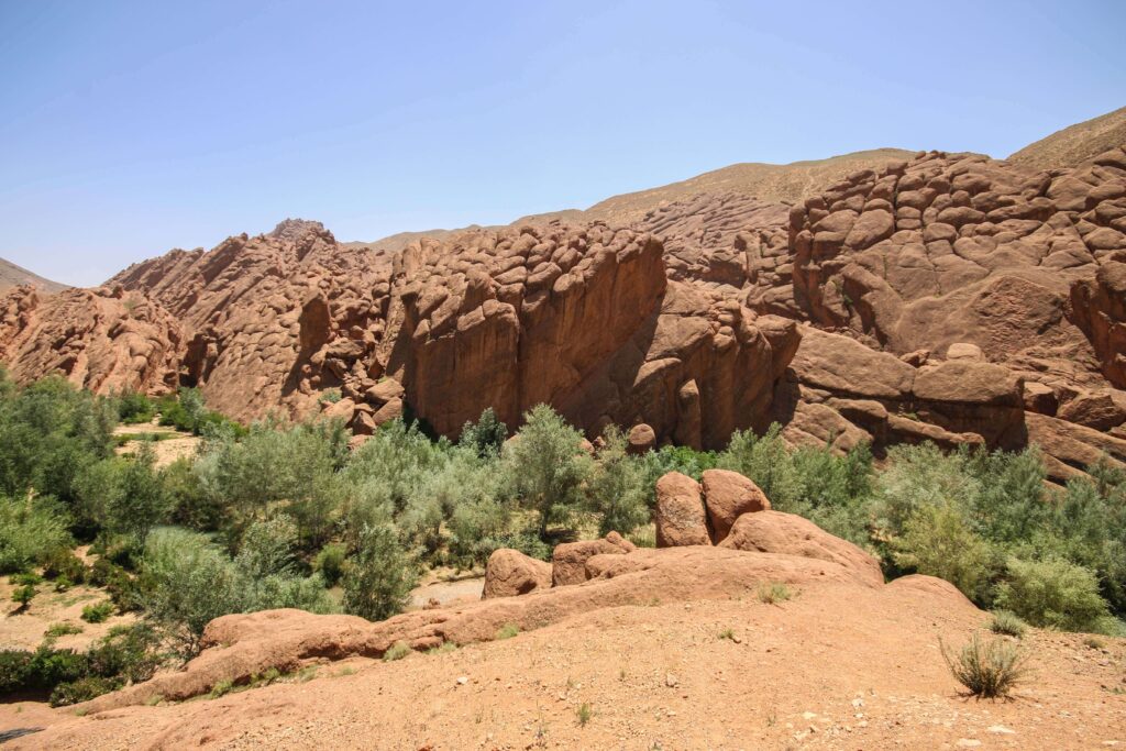 Is Dades Gorge worth visiting? The Monkey Fingers rock formations in Dades Gorge, Morocco
