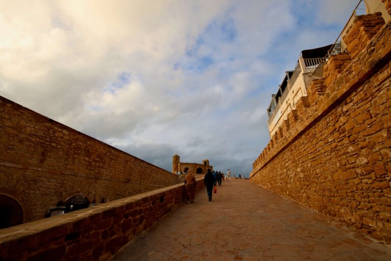 8 Best Day Trips and Tours in Essaouira