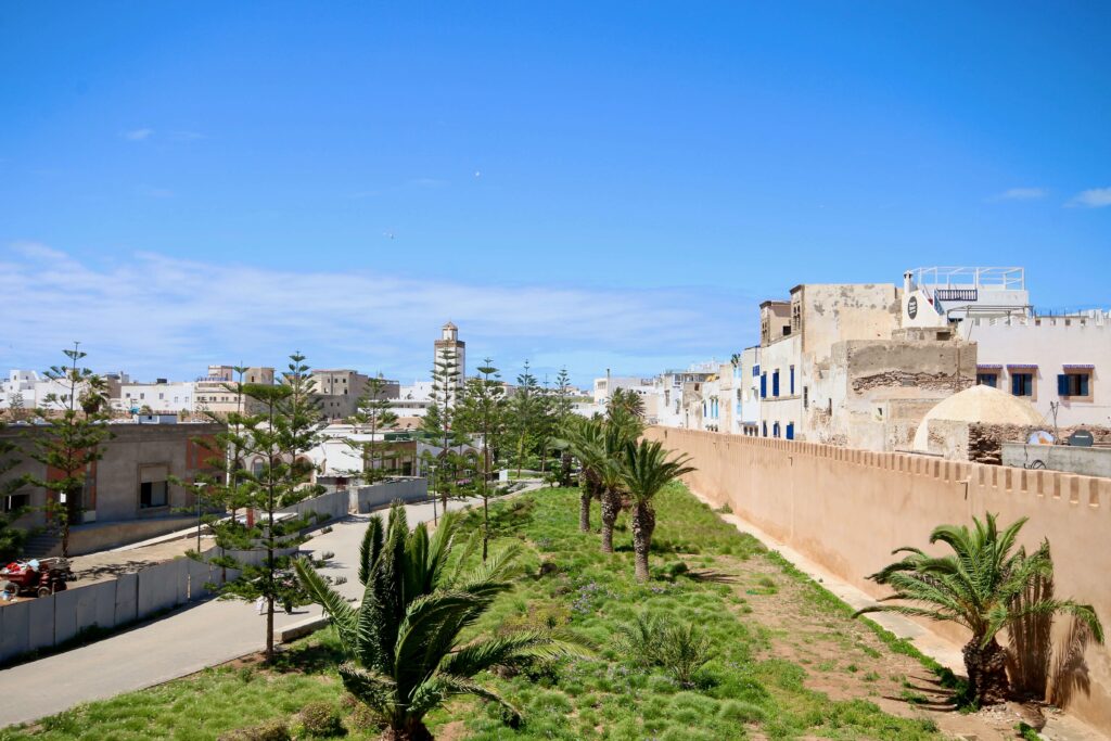 A palm-studded park beside the medina walls of Essaouira