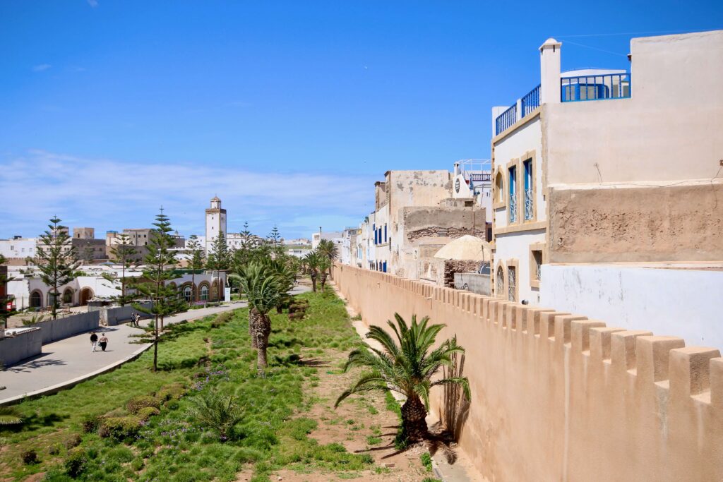 A palm-studded park beside the medina walls of Essaouira