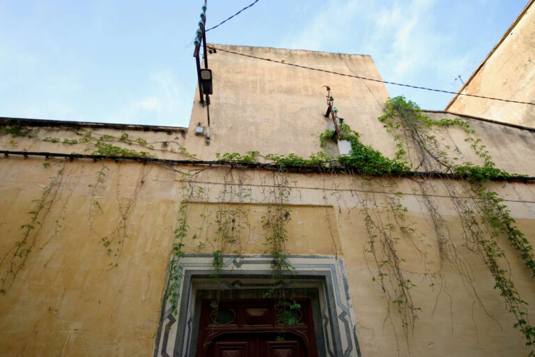 Visiting Fes in December: Weather + Festivals + Things to Do