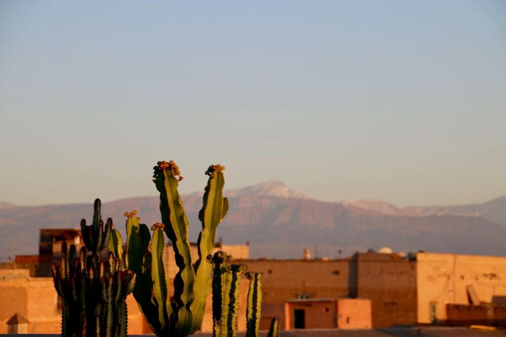Snow blankets the Atlas Mountains behind Marrakech