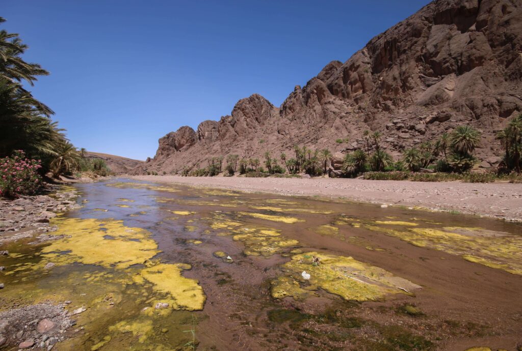 Best things to do in Ouarzazate - Dramatic peaks frame an oasis on the outskirts of Ouarzazate
