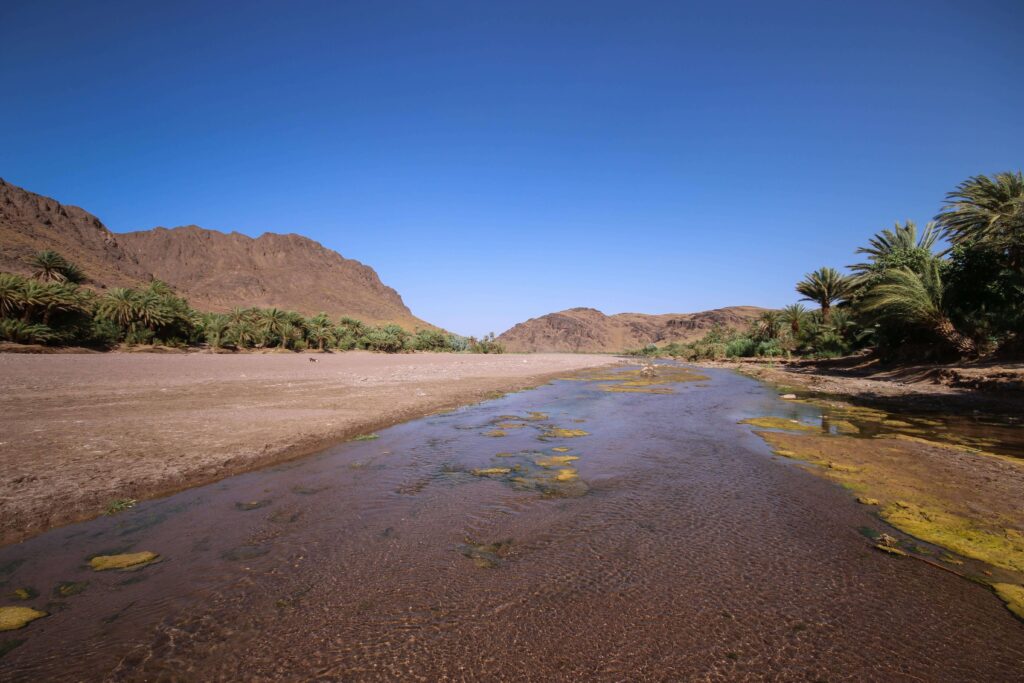 Is Taroudant worth visiting? An oasis between Ouarzazate and Taroudant