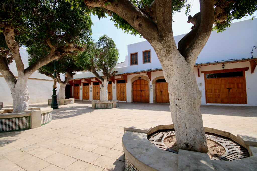 A tree-dotted square in the Salé medina, Morocco