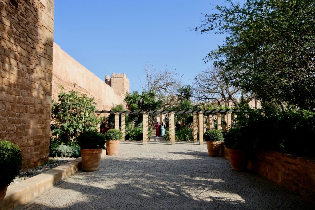 A leafy arbor in Rabat's Andalusian Gardens during a one week Morocco itinerary from Fes to Marrakech
