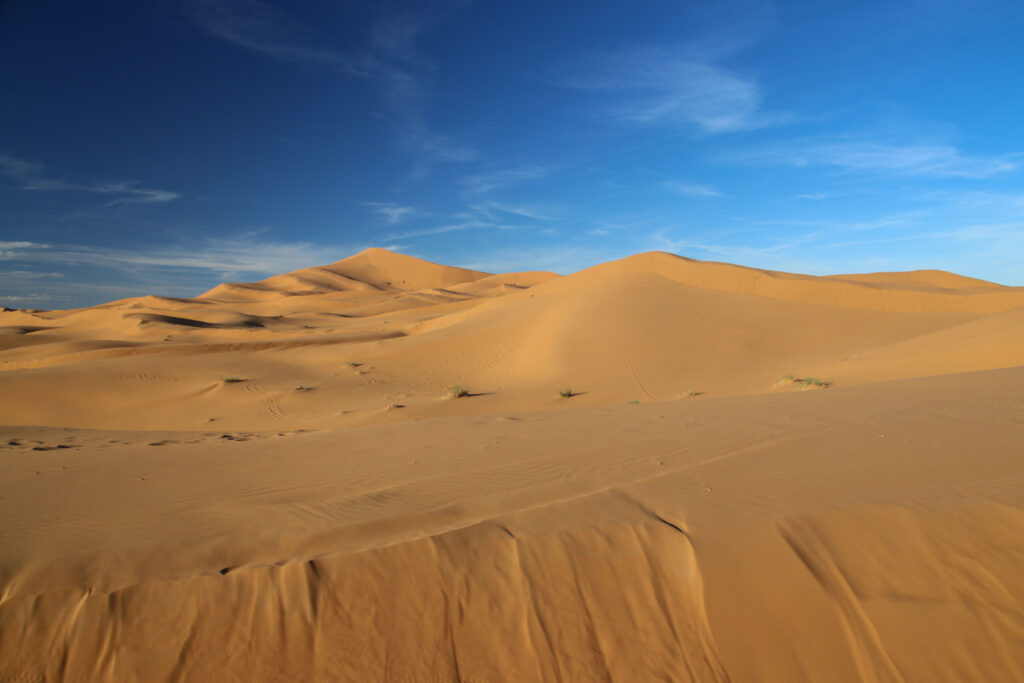 Golden dunes in the Sahara Desert, which can be reached on a guided tour from Fes