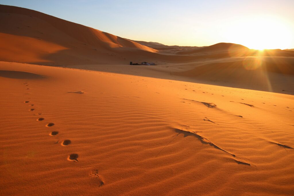 Camel footprints in the dunes of the Sahara on a small-group tour from Marrakech