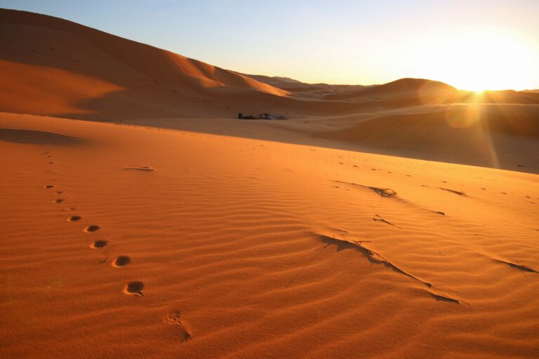 Camel footprints in the dunes of the Sahara on a small-group tour from Marrakech