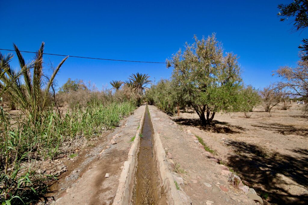 Best things to do in Skoura, Morocco. An irrigation channel extends through the Skoura Palmeraie in Morocco