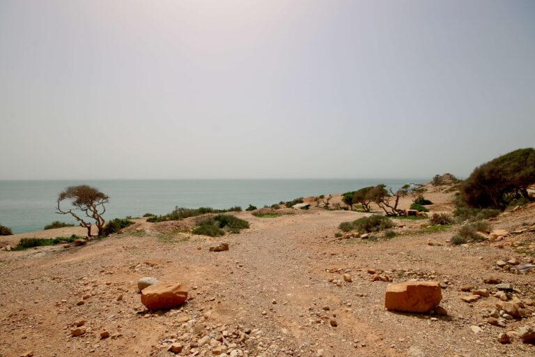 Visiting Agadir in December: Weather + Festivals + Things to Do