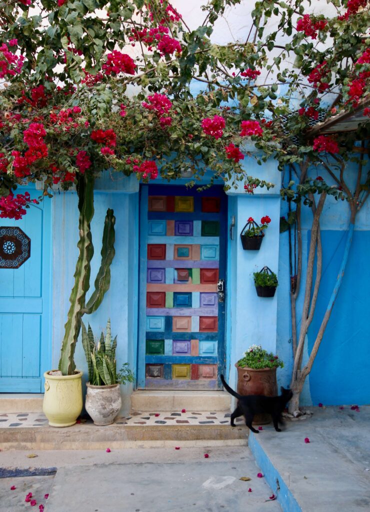Things to do near Tamraght and Taghazout - Bougainvillea decorates a blue house in Taghazout