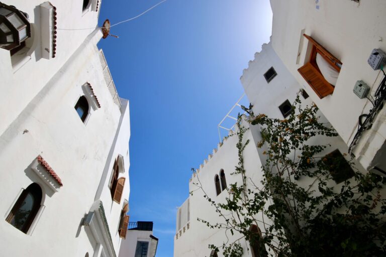 A Northern Gateway: Essential Travel Guide to Tangier