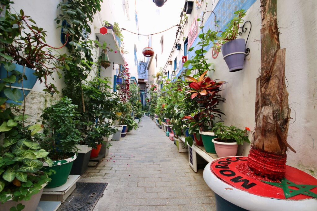 A colourful laneway filled with plants and murals in the Tangier medina