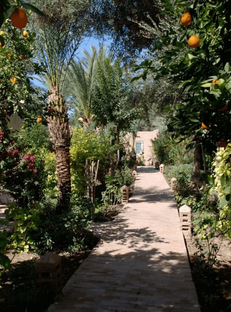 A garden path framed by orange trees at one of the best places to stay in Taroudant