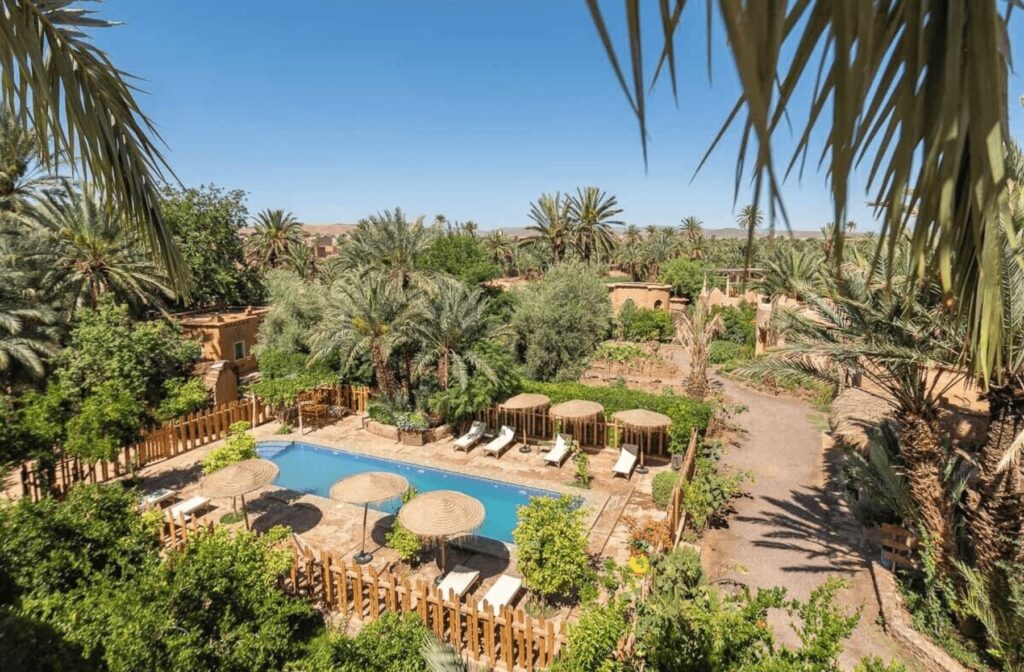 Gardens surround the swimming pool at Ecolodge La Palmeraie near Ouarzazate