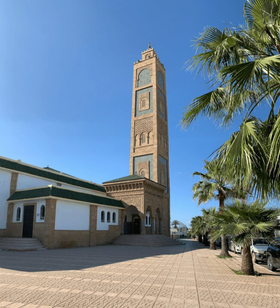 Best things to do in El Jadida - Palm trees frame a mosque in El Jadida, Morocco