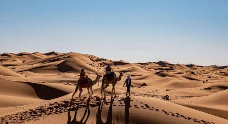 Morocco’s Date Capital: Essential Travel Guide to Erfoud