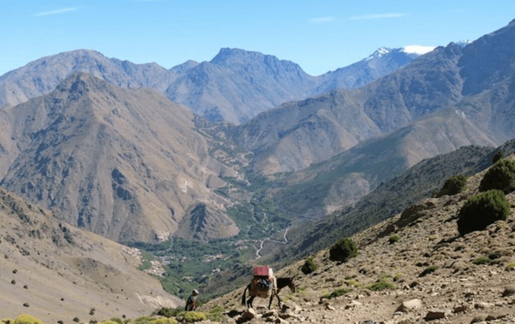 Best things to do in Imlil - A Moroccan man and donkey in the High Atlas Mountains of Morocco