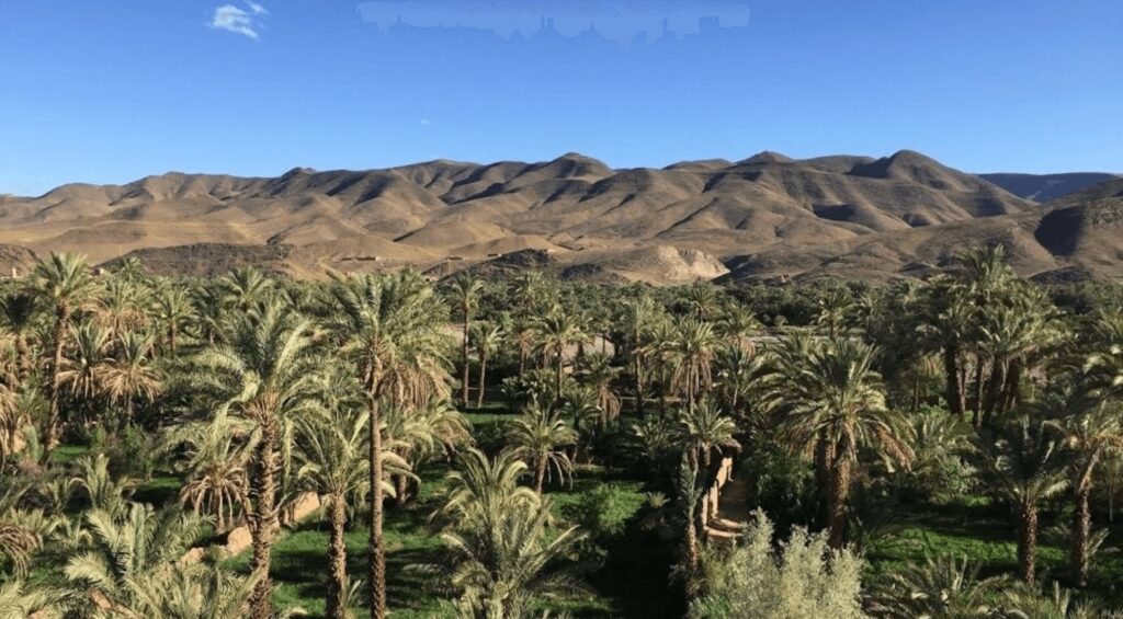 Best places to stay in Agdz - Views across a palm oasis and mountains from Kasbah Maktob Tamnougalt 