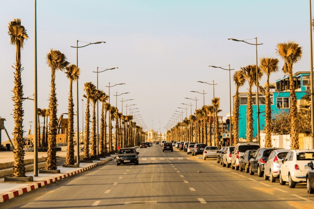 Best things to do in Kenitra - A palm lined street in Kenitra, Morocco