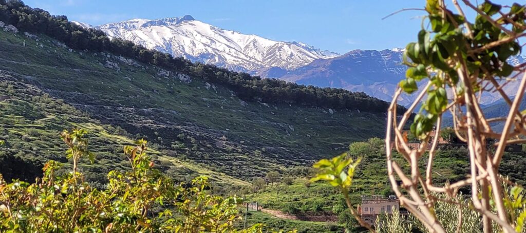 Spectacular views of the Atlas Mountains from Le Douar Berbere, an eco-friendly hotel in Ourika Valley