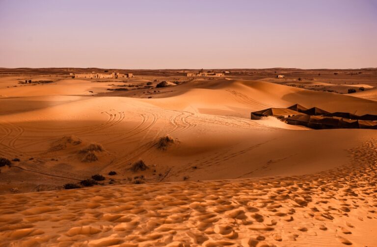Essential Travel Guide to M’Hamid: Gateway to Erg Chigaga