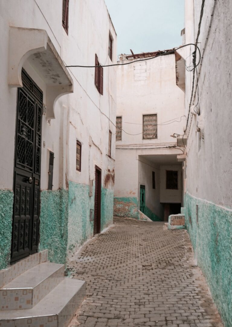 A Holy Town: Essential Travel Guide to Moulay Idriss Zerhoun