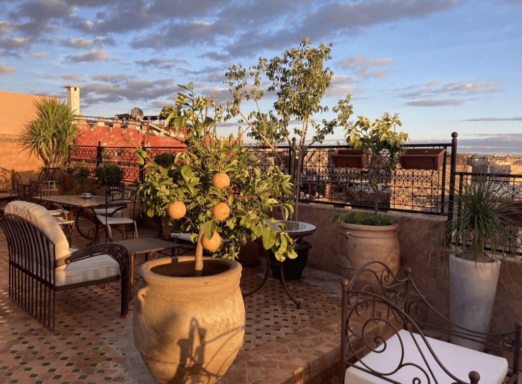 An orange tree on the terrace of Riad Le Petit Ksar - one of the best places to stay in Meknes 