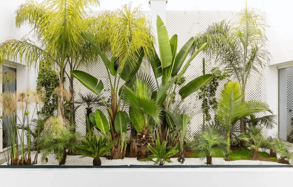 A leafy courtyard garden at Riad Zyo in Rabat 