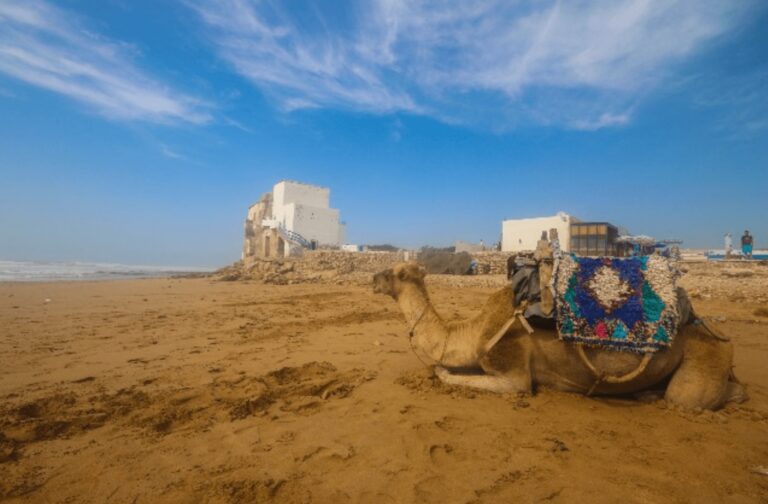 11 Best Hotels in Sidi Kaouki: A Beach Escape Near Essaouira