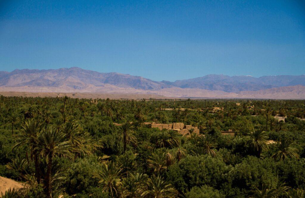 Elevated views of Skoura Lodge, surrounded by the palmeraie and backed by the Atlas Mountains