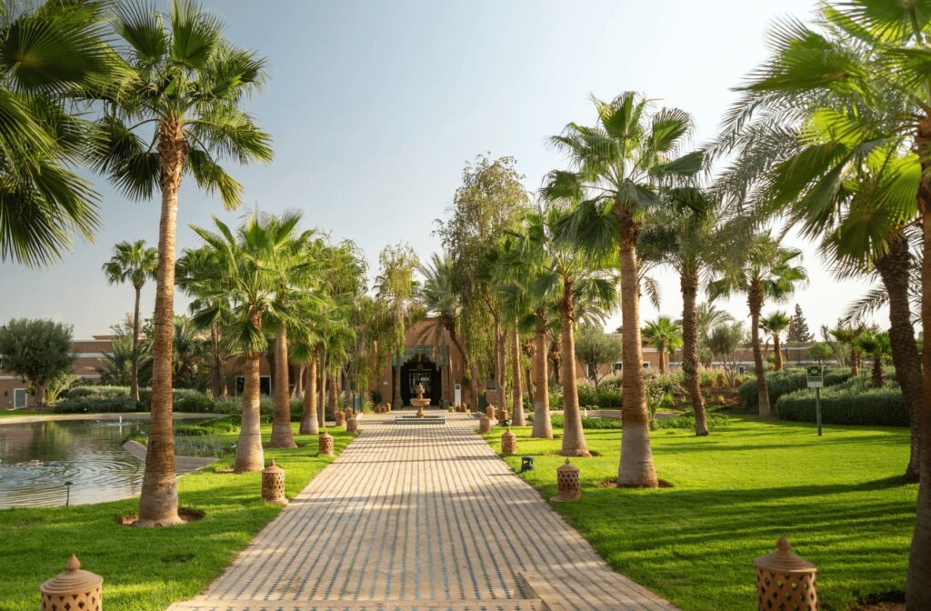 The palm-studded grounds of the Sol Oasis Marrakech, one of the best all-inclusive hotels in Marrakech