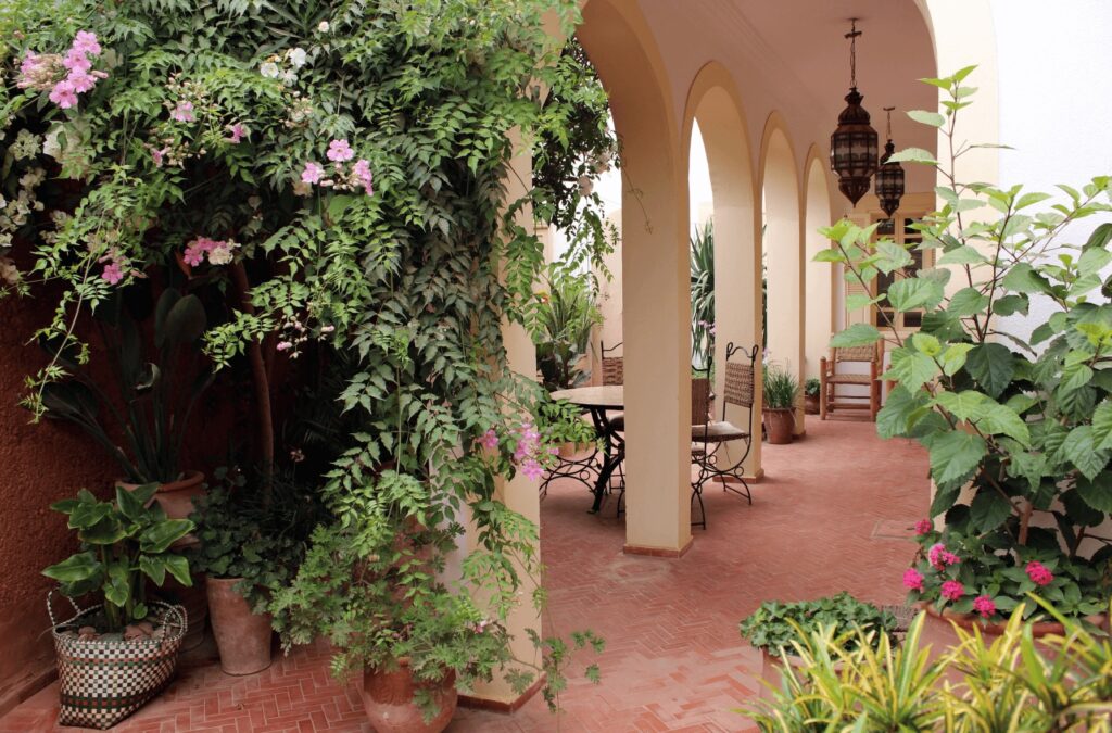 A plant-filled patio at one of the best hotels in Mirleft