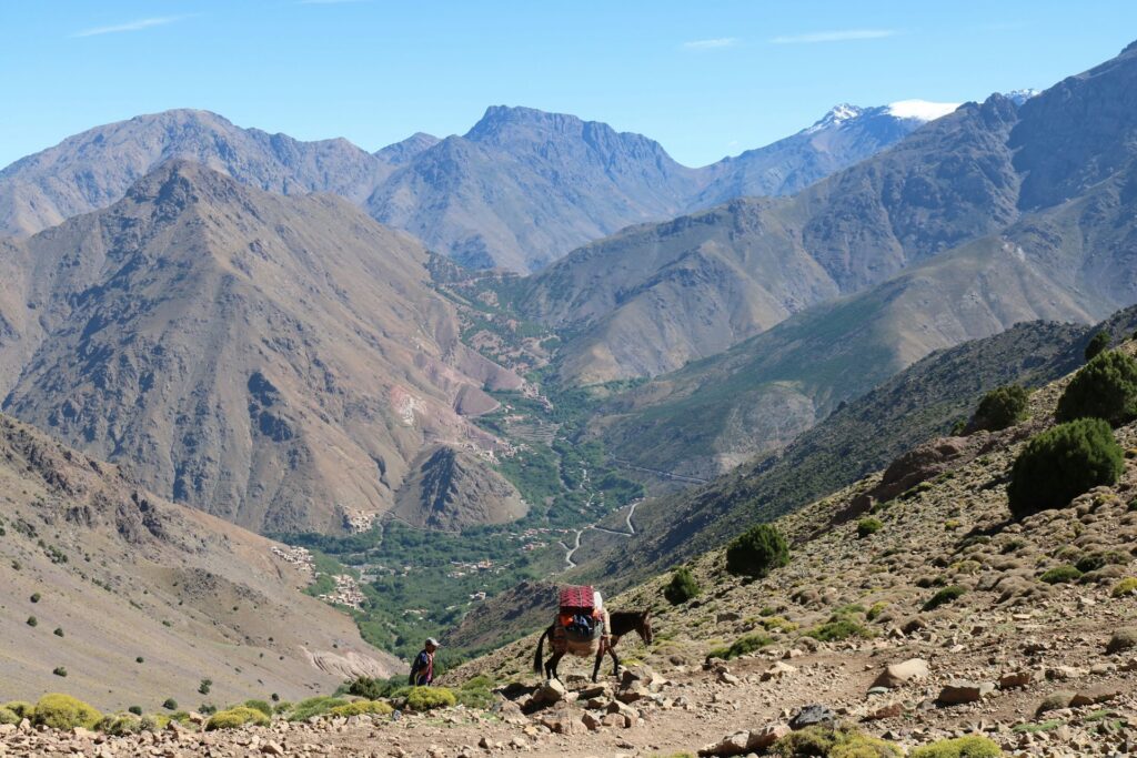 A Moroccan man and his donkey in Toubkal National Park