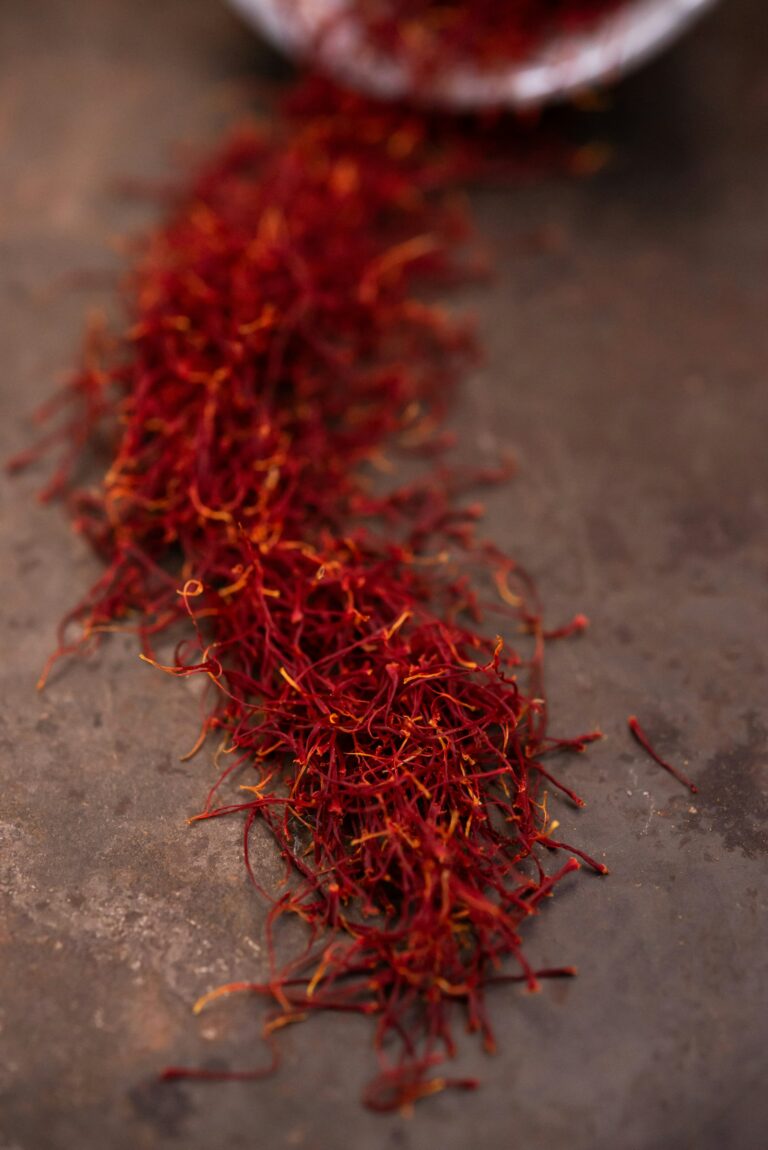 Essential Travel Guide to Taliouine: Morocco’s Saffron Town
